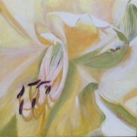 YellowDaylili